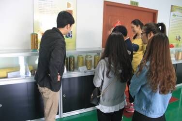 亚洲精品久久久久中文第一幕