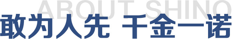 亚洲精品久久久久中文第一幕