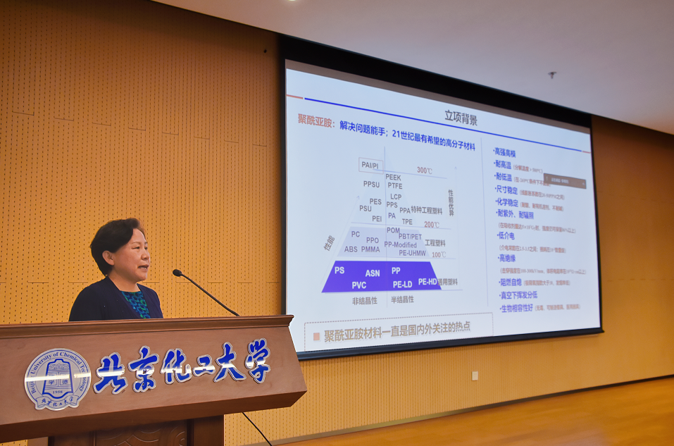 亚洲精品久久久久中文第一幕